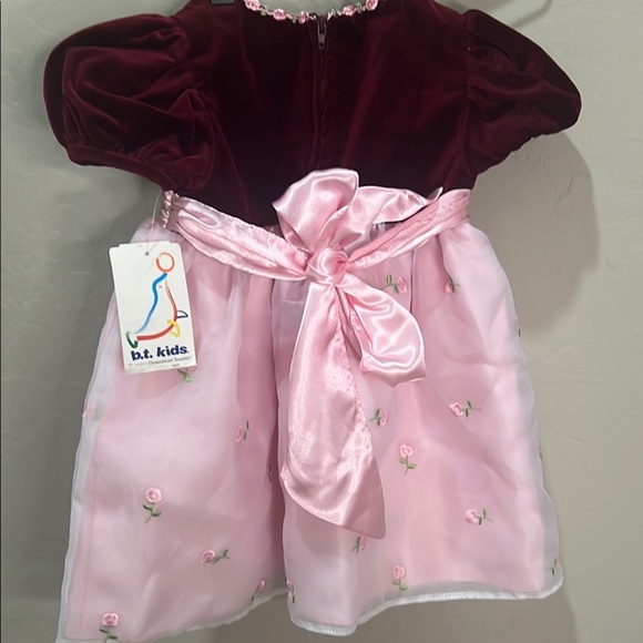 Vintage Dress Baby Toddler  Pink Maroon Roses Velvet Tulle Girl Formal Easter - Picture 6 of 11